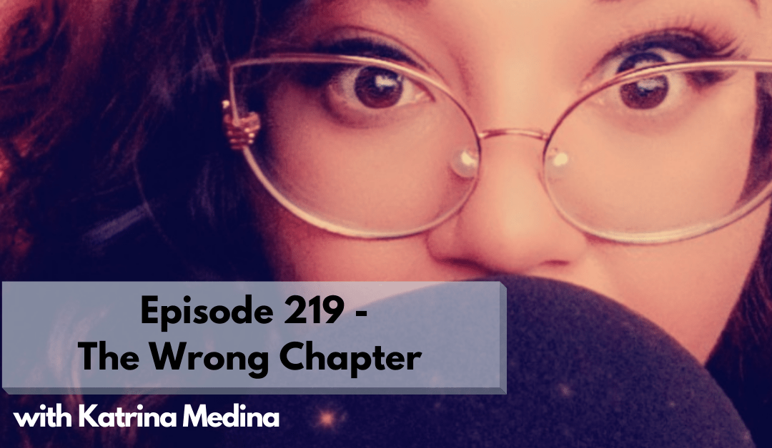 219 – The Wrong Chapter: an interview with an erotic fiction narrator